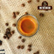 印度咖啡豆分級制度 印度咖啡產地風味特點 印度咖啡產業現狀