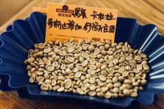 咖啡豆蜜處理後口感有什麼變化？咖啡豆蜜處理適合煮什麼咖啡？