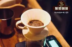 手衝咖啡豆推薦 手衝咖啡用什麼咖啡豆--馬拉維 母祖祖合作社
