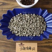 雲南咖啡爲什麼叫小粒咖啡？如何辨別雲南小粒咖啡的真僞？