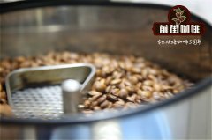 埃塞俄比亞古吉花魁咖啡豆怎麼烘焙？花魁咖啡的特殊之處在於……
