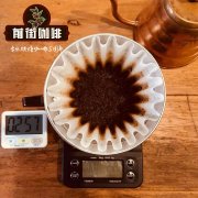 適合手衝的咖啡豆 手衝用什麼咖啡豆 埃塞俄比亞咖啡 吉瑪有機咖