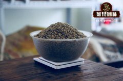 你沒聽說過的埃塞俄比亞咖啡豆故事 埃塞俄比亞咖啡豆價格貴嗎