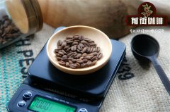 花蝴蝶咖啡豆裏瑰夏種的比例有多少_花蝴蝶咖啡豆多少錢半磅