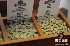 不同產區的帕卡馬拉咖啡豆風味有什麼區別|帕卡馬拉咖啡豆價格表
