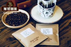 單品咖啡豆推薦|綠寶石曼特寧|林東曼特寧 印尼咖啡豆品牌