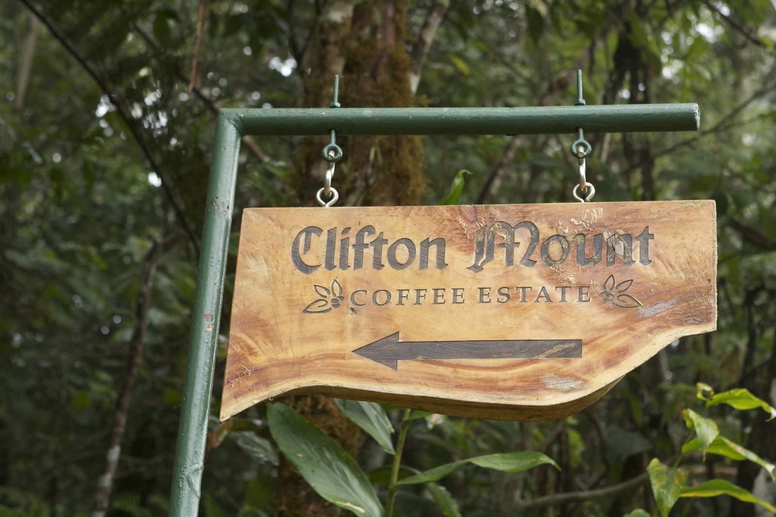 牙買加藍山一號咖啡豆風味特點口感 克利夫頓莊園藍山咖啡等級品牌種類