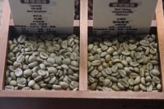 咖啡軟豆和硬豆如何烘焙？不同密度的咖啡豆有哪些烘焙技術？有什