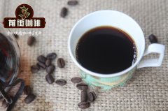 90+哈奇拉咖啡豆風味如何形容_哈奇拉咖啡到底是什麼?