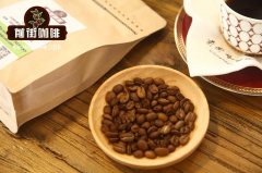 非洲、中南美洲、亞洲咖啡豆特性簡述_最好的咖啡豆產自哪裏
