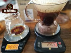 滴漏壺咖啡豆適合什麼咖啡豆_滴漏壺咖啡怎麼做_滴漏壺咖啡豆價格
