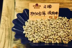 耶加雪菲咖啡豆和西達摩花魁咖啡豆手衝風味口感特點什麼區別