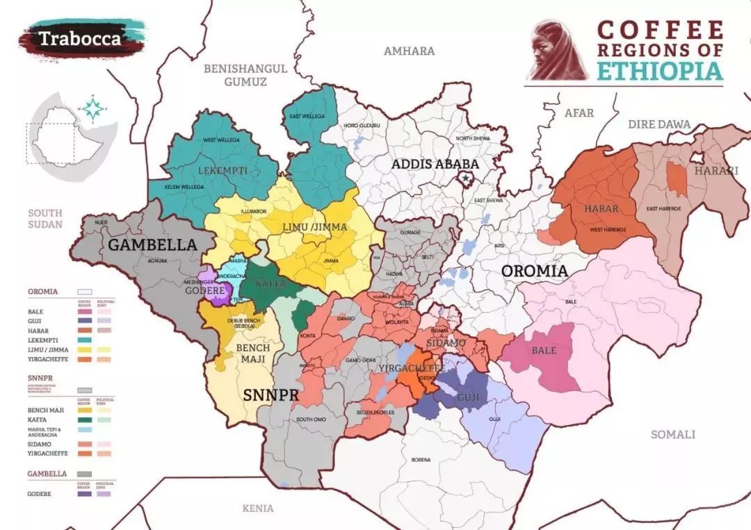 什麼是“紅櫻桃計劃”？ 最精準的埃塞俄比亞咖啡地圖！