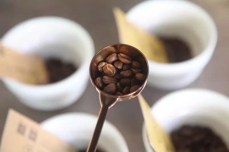 什麼是咖啡的body？口感醇厚的咖啡豆推薦 如何衝出咖啡的body感