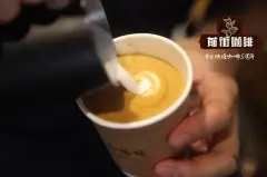 花式咖啡有着什麼特點？怎樣自制花式咖啡？什麼是花式咖啡？