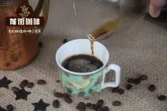 埃塞俄比亞咖啡豆|埃塞俄比亞咖啡產區|古吉 凱永山農場 水洗