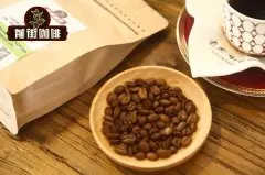 有機咖啡豆種植特點介紹_有機認證對咖啡價格品質風味特色的影響