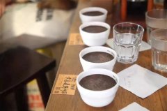 咖啡杯測步驟 COE生豆大賽杯測和SCA精品咖啡杯測標準評分的區別