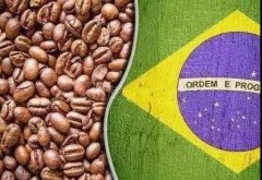 巴西咖啡|巴西咖啡歷史|巴西咖啡產區|巴西咖啡品種