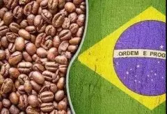 巴西咖啡|巴西咖啡歷史|巴西咖啡產區|巴西咖啡品種