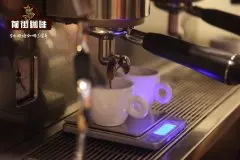 全自動與半自動意式咖啡機推薦_不同意式咖啡機適合什麼咖啡豆