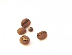 危地馬拉什麼咖啡豆最特別_危地馬拉茵赫特莊園小摩卡種咖啡豆