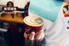 雲南精品咖啡豆紅龍莊園1887m Project咖啡介紹_雲南鐵皮卡復興計