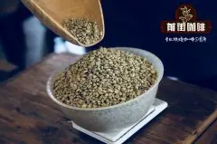 耶加雪菲G1|柯卡處理廠 Koke Station|蜜處理咖啡豆