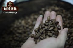 埃塞俄比亞吉瑪摩卡咖啡烘焙分析_吉瑪摩卡咖啡豆怎麼喝？