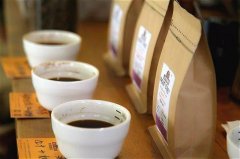 咖啡品鑑|嗅覺對於品鑑咖啡到底有多重要？