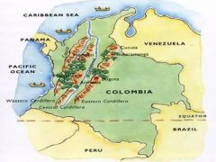 哥倫比亞 | 考卡卓越杯 VS 唐納德，不同烘焙方式的區別？