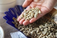 咖啡生豆水活性|如何保護咖啡不受過度水活度的影響