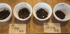 肯尼亞咖啡豆深烘與淺烘風味口感特點區別 肯尼亞將咖啡手衝方法介紹