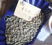 危地馬拉SL28咖啡豆烘焙程度風味口感|瓜亞博/番石榴平原莊園