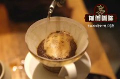 雲南咖啡精品豆普洱咖啡風味介紹 雲南咖啡有什麼精品豆