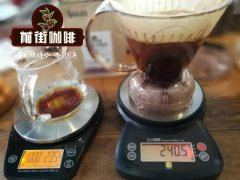 雲南咖啡發展歷程 我國雲南咖啡歷史介紹
