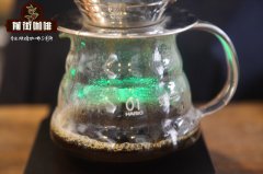 牙買加藍山一號咖啡豆手衝方法研磨度水溫比例參數推薦