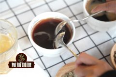 雲南蜜處理小粒咖啡推薦 雲南西雙版納易武欣希農場咖啡風味口感