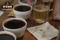 也門摩卡咖啡豆產區產地推薦 也門摩卡哈米咖啡特點風味
