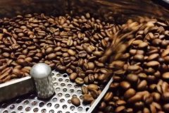 咖啡裏的瑕疵豆都有什麼？咖啡豆應該怎麼挑？