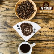 CaféTouba咖啡的來源與製作方式