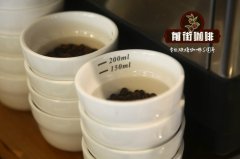 咖啡豆不屬於豆類 咖啡豆是咖啡樹的種子將未烘焙的生豆拿來種植