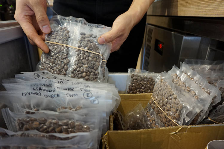 咖啡豆如此纖細：到底是冷凍了更好喝，亦或是冷凍就變味？