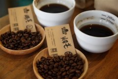 新鮮出爐咖啡豆分級學習！傳說中的G1 G2又是什麼意思？