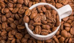 採收咖啡豆主要有三種方法  咖啡櫻桃採收