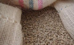 陳年咖啡豆是怎麼來的？蘇門答臘的陳年咖啡