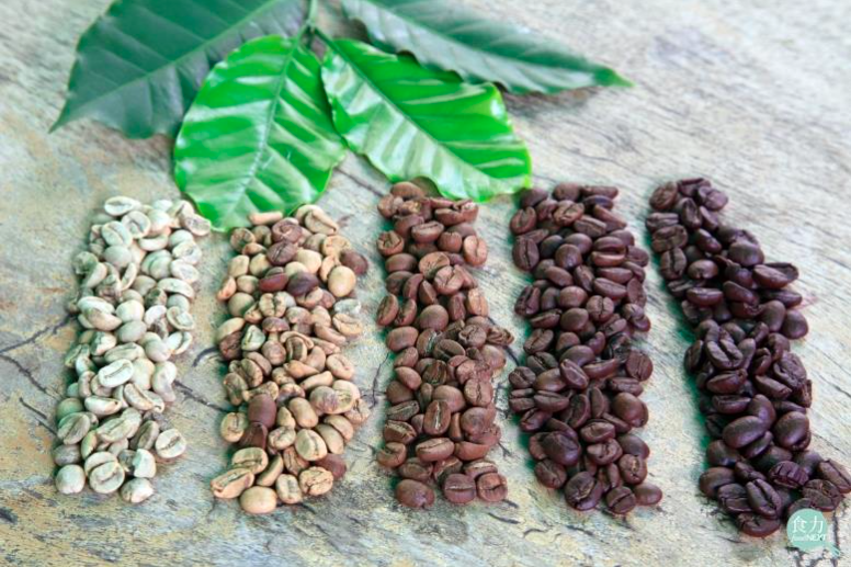 淺烘焙咖啡的營養價值是什麼？淺烘咖啡豆會比較健康嗎？