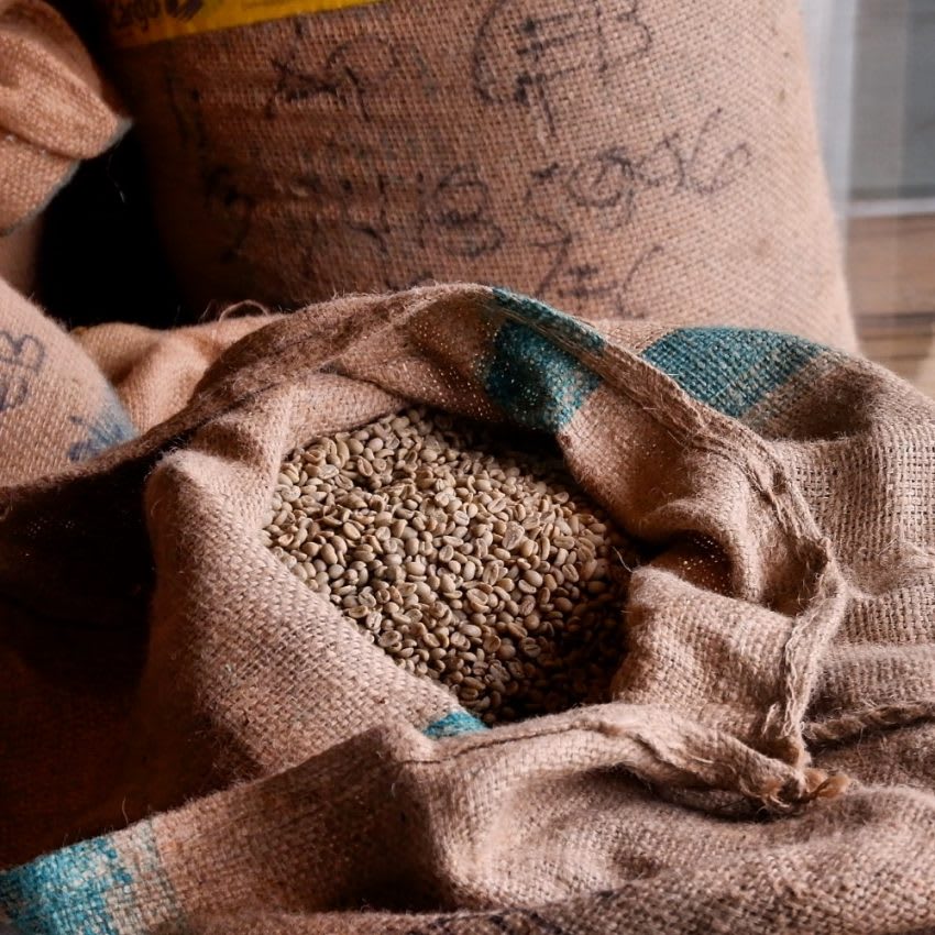 咖啡生豆交易模式全介紹？咖啡生豆買賣有哪些方式？