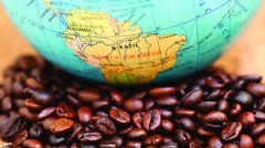 在哪裏可以買到綠咖啡豆？什麼樣的咖啡豆最好？