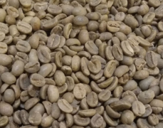 巴拿馬哈特曼莊園水洗紅酒處理法園卡杜拉咖啡豆風味特點